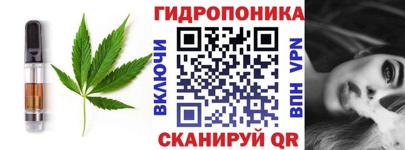 Canna-Cookies конопля  omg как зайти  Мегион 