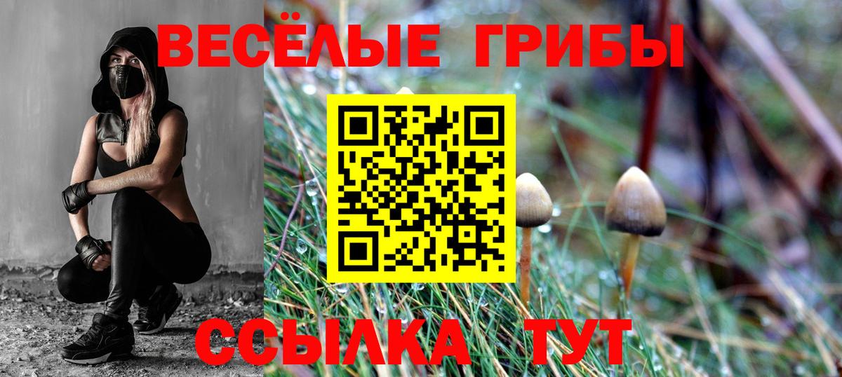 Псилоцибиновые грибы ЛСД Мегион